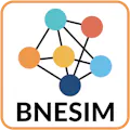 BNESIM