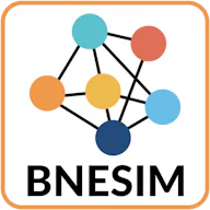 BNESIM