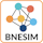BNESIM