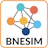 BNESIM