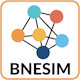 BNESIM